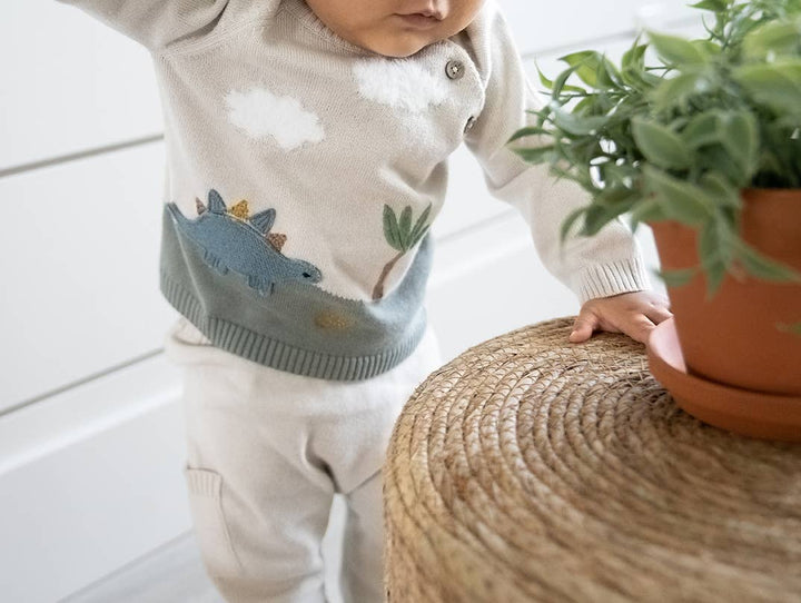 Dino Baby Pullover