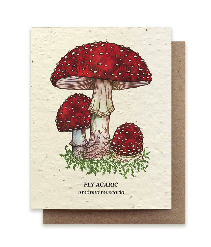Mushroom Plantable Wildflower Seed Card