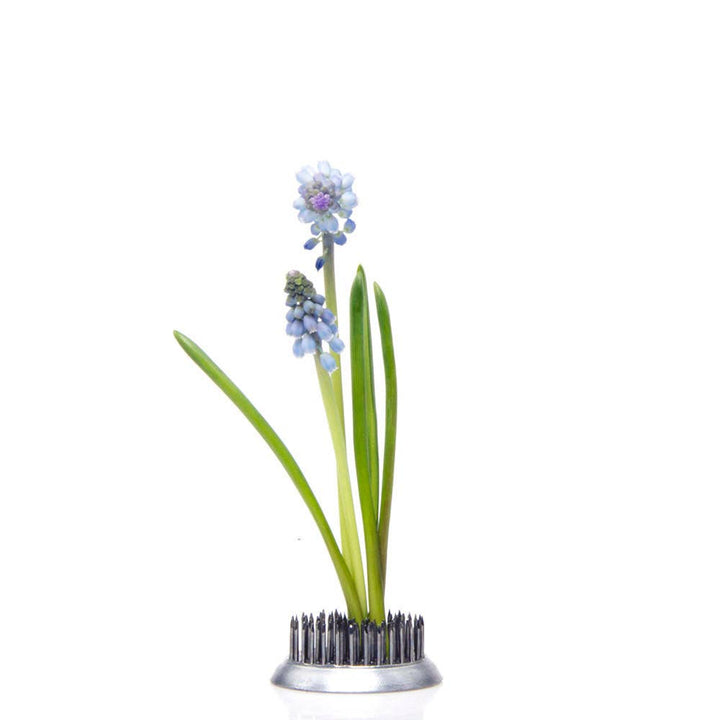 Stainless Steel Ikebana Frogs / Kenzans