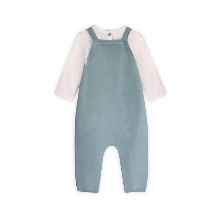 Lion Applique Baby Overall Set
