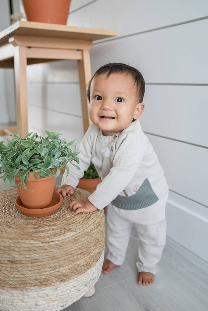 Dino Baby Pullover