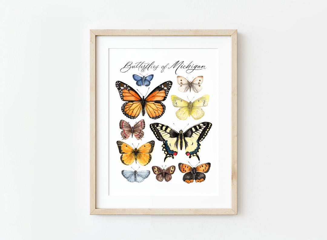 Butterflies of Michigan Print, Local Artist (three sizes)