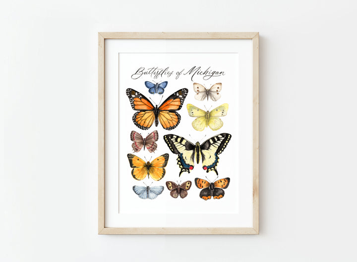 Butterflies of Michigan Print, Local Artist (three sizes)