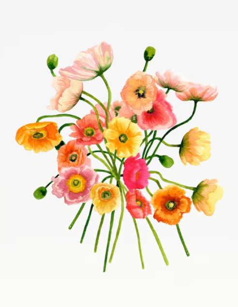 Poppies Greeting Card, Local Artist