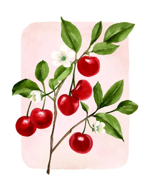 Cherries Greeting Card, Local Artist