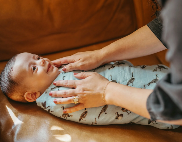 Goose Bamboo Swaddle