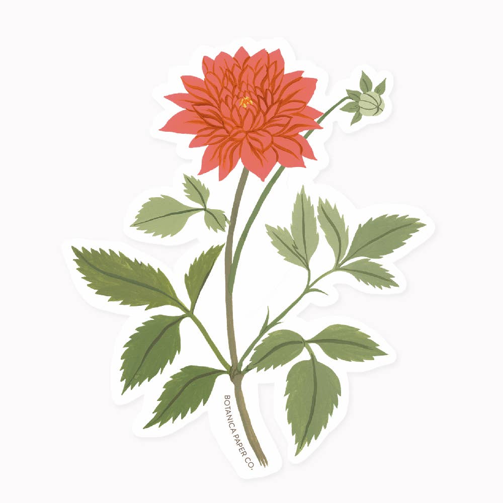 DAHLIA | CLEAR VINYL STICKER