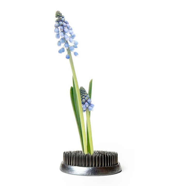 Stainless Steel Ikebana Frogs / Kenzans