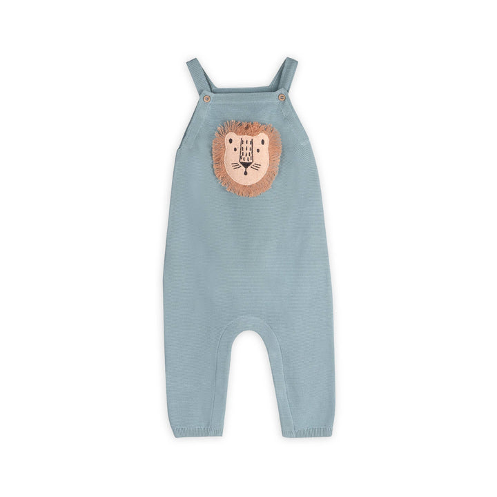 Lion Applique Baby Overall Set