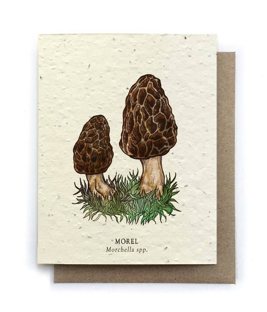 Morel Mushroom Plantable Seed Card