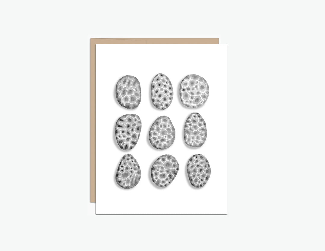 Petoskey Stone Greeting Card, Local Artist