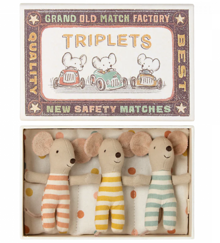 Triplets, Baby Mice in Matchbox