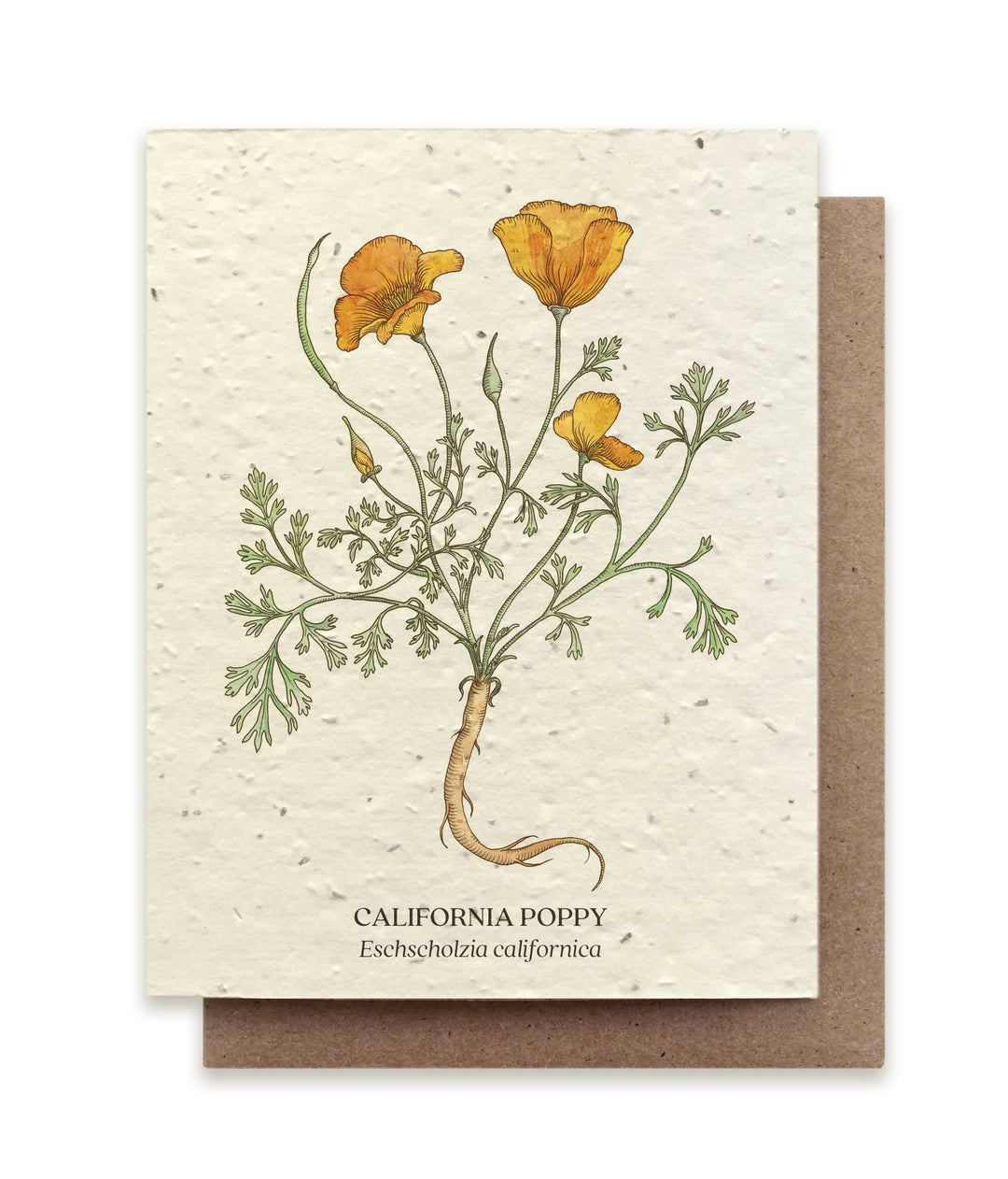 California Poppy Plantable Greeting Cards | Small Victories