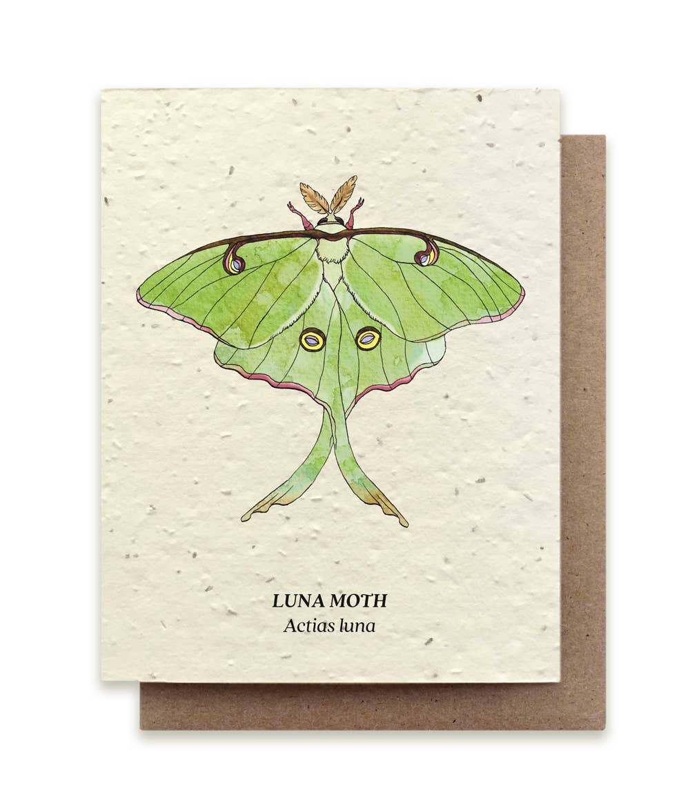 Moth Plantable Wildflower Seed Card