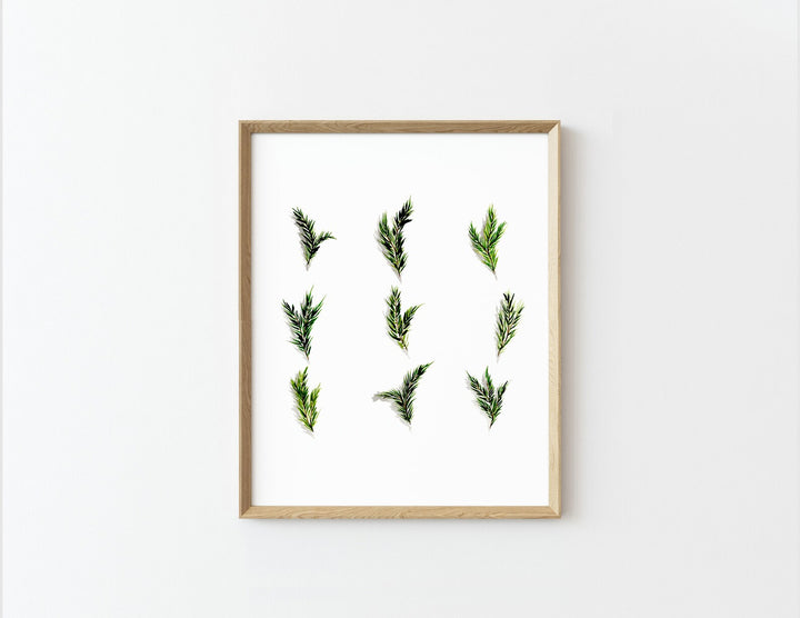 Grid Nature Greeting Card Set, local artist