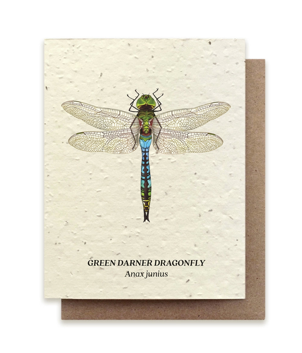 Dragonfly Plantable Seed Paper