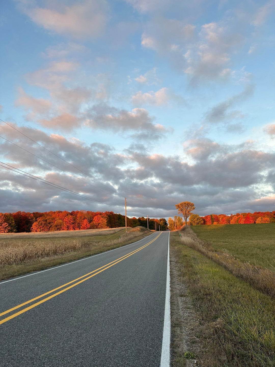 Writer's Block, Contentment, & A Busy Season of Life