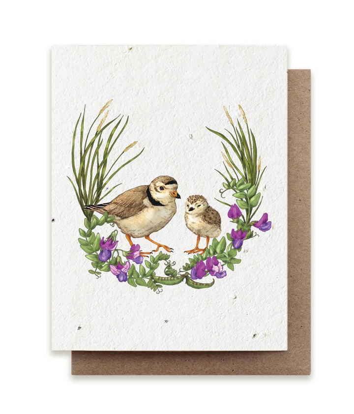 Summer Plovers Plantable Herb Seed Card: No Sleeves