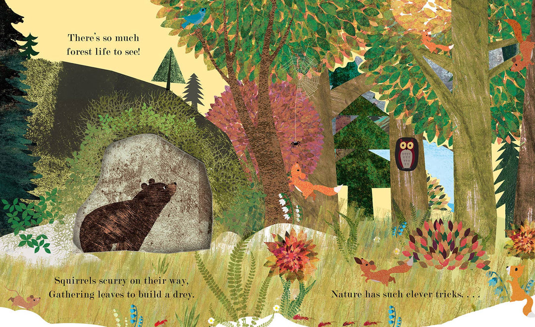 Home: A Peek-Through Board Book