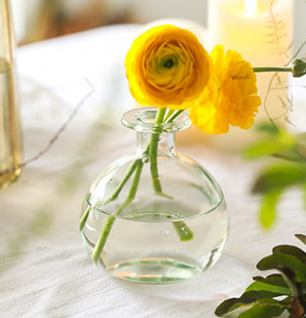 Glass Bud Vases, Round, Multi-color