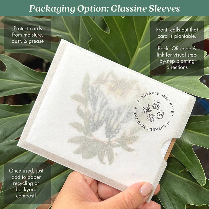 Summer Plovers Plantable Herb Seed Card: No Sleeves