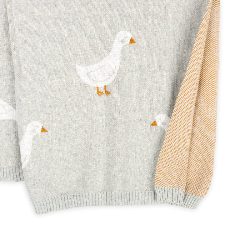 Duck Waddle Baby Blanket