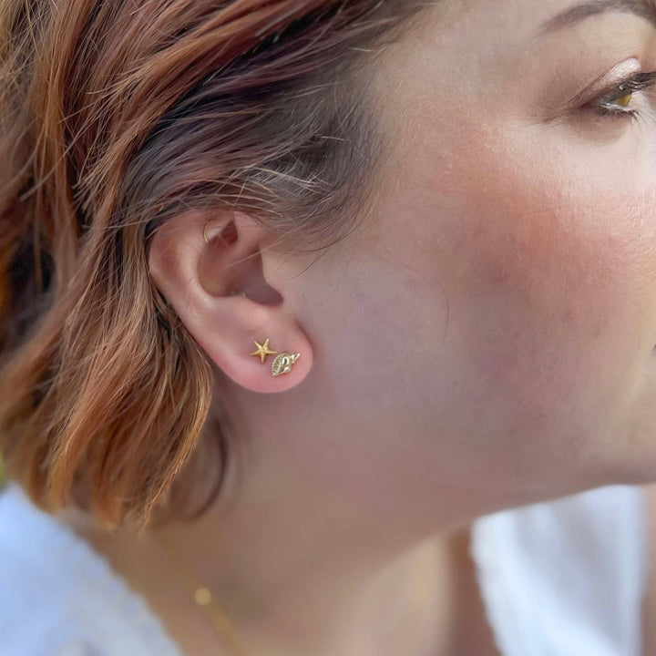 Seashell Studs