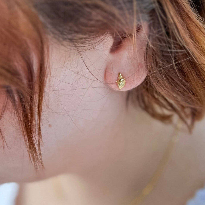 Seashell Studs