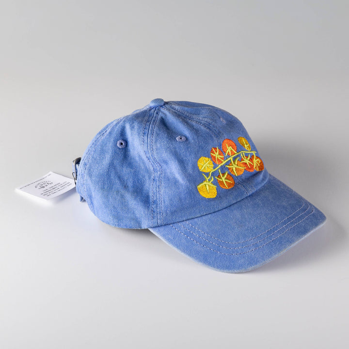Tomato Hat in Periwinkle