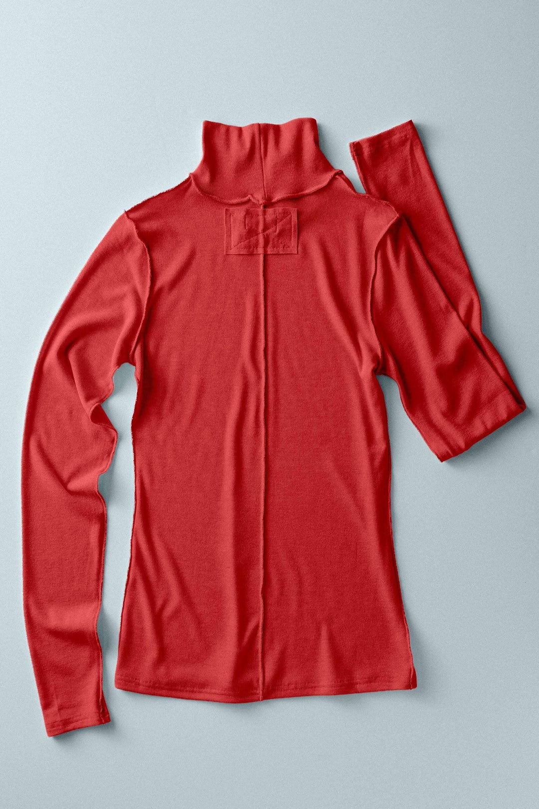 Contrast Seam Turtleneck in Red