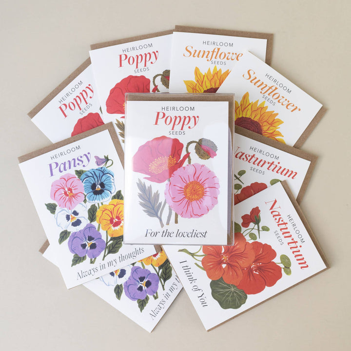 Seeds Of Kindness Greeting Card, Set of 8