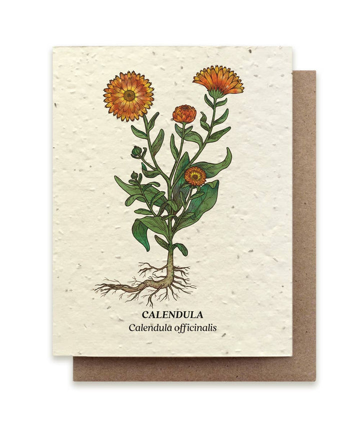 Calendula Plantable Wildflower Seed Card: No Sleeves