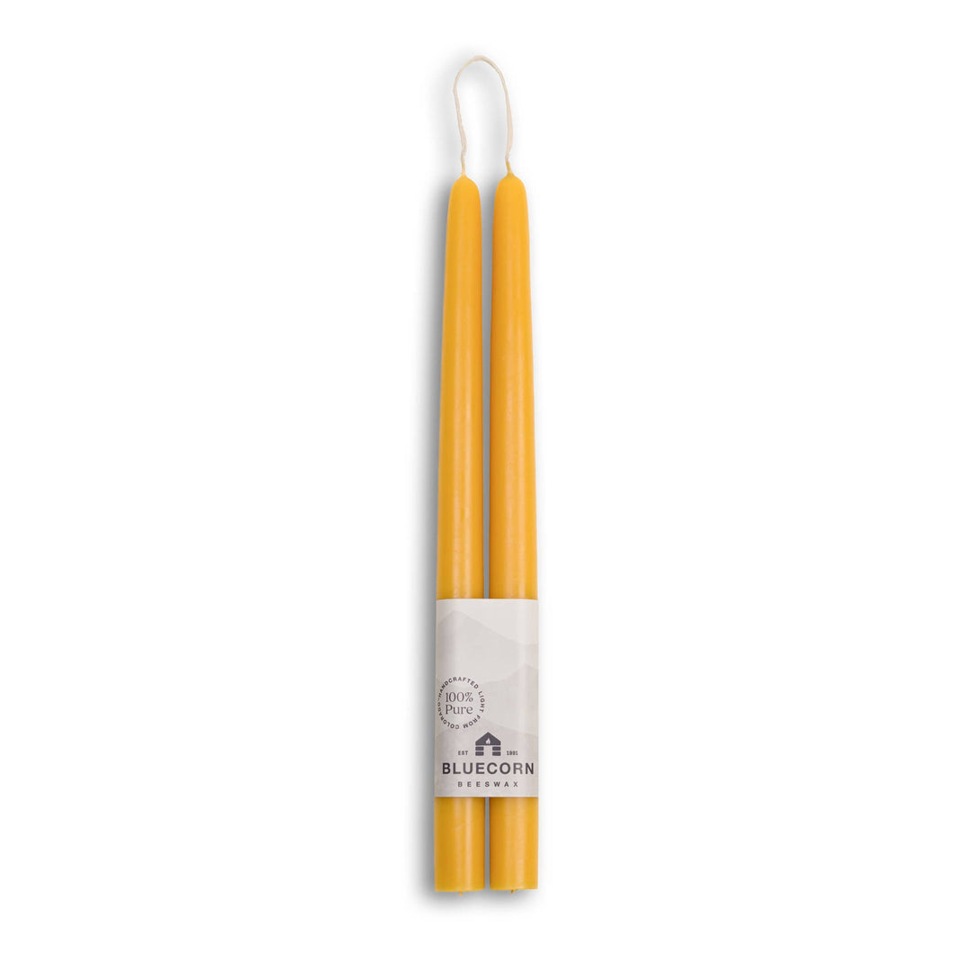 Ivory Beeswax Tapers, 4 Sizes