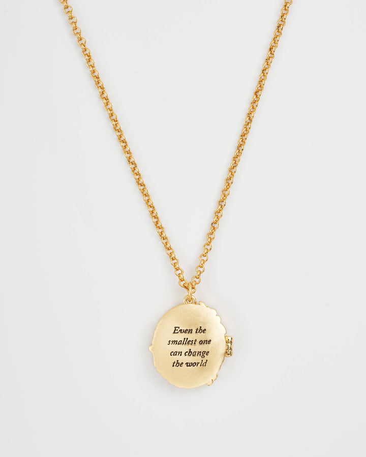 Peter Rabbit Cameo Locket Necklace