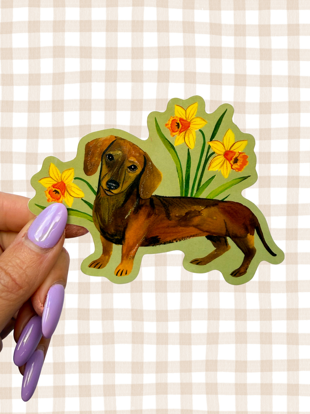 Dachshund Sticker