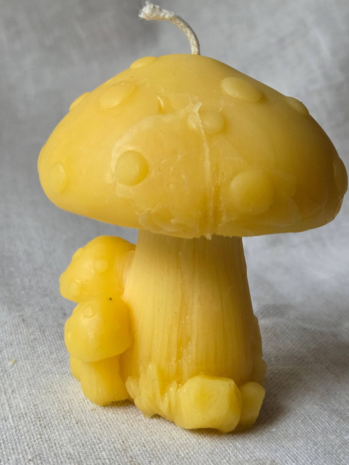 Fairytale Mushroom Beeswax Candle