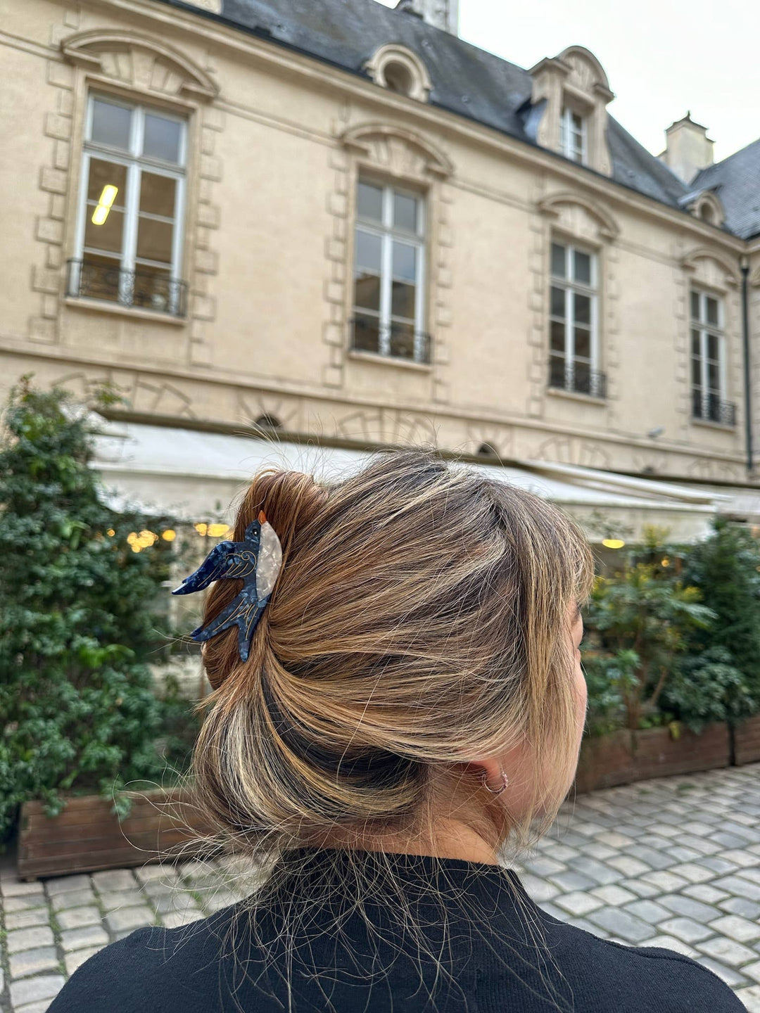 Swallow Bird Hair Clip