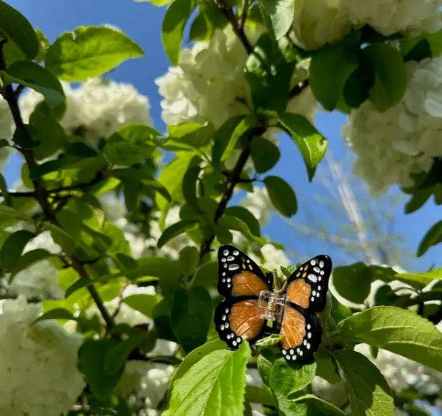 Mini Monarch Butterfly Hair Clip, 5 Colors