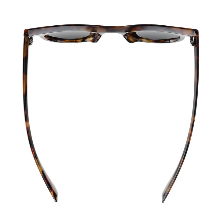 Milo |Tortoise | Smokey Lens