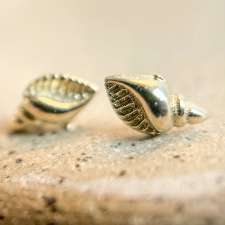 Seashell Studs