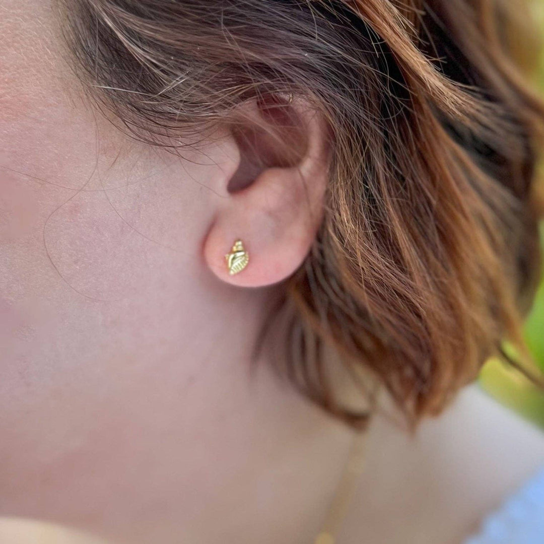 Seashell Studs