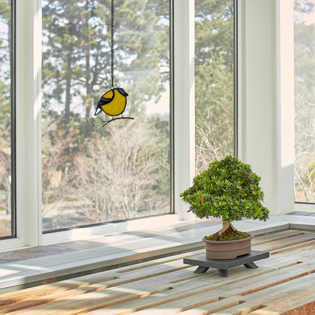 Bird Stained Glass Suncatcher, 4 Colors