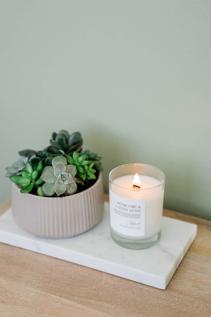 PETRICORE & EARTHY MOSS | Clean Signature Coconut Soy Candle