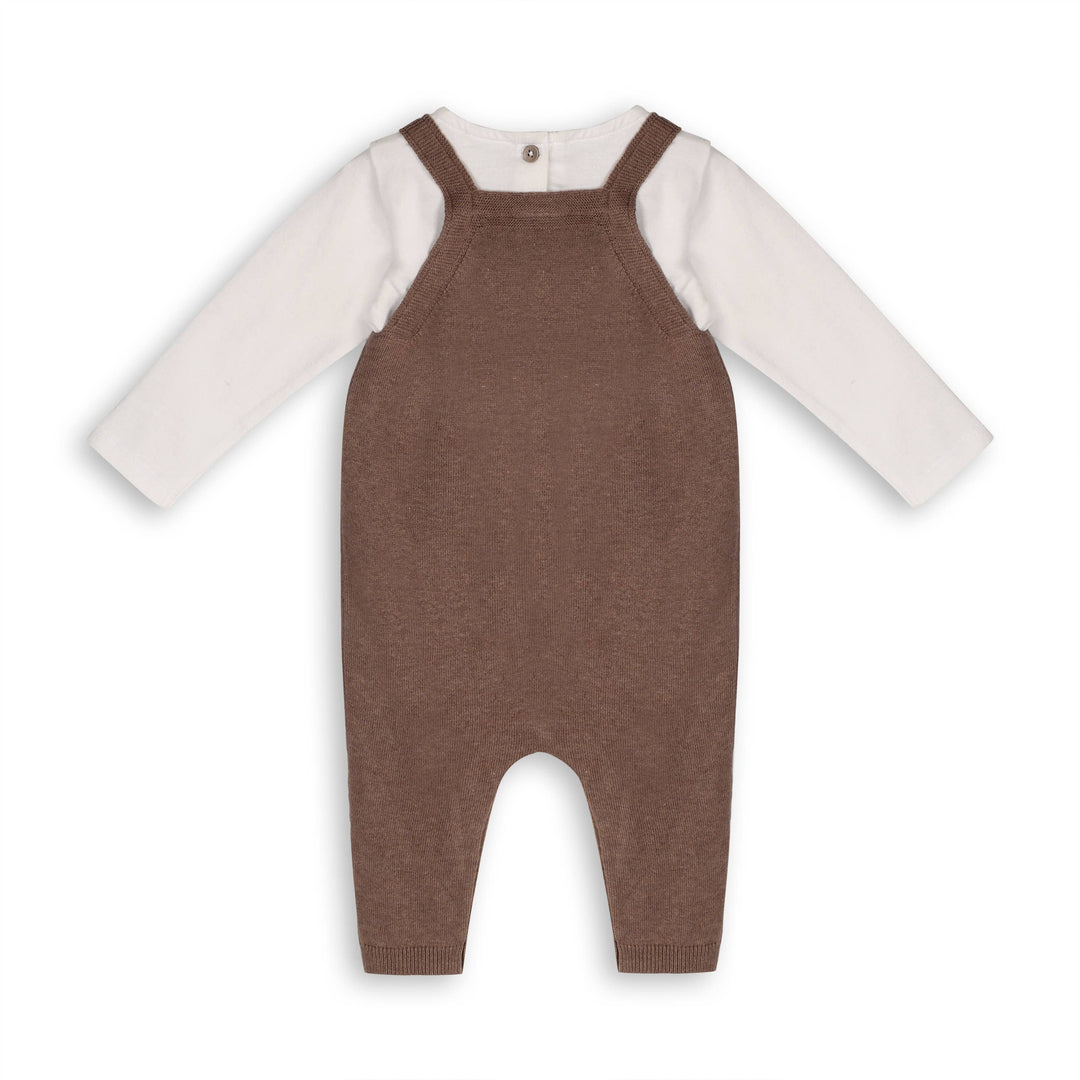 Baby Bear Overall & Bodysuit Set