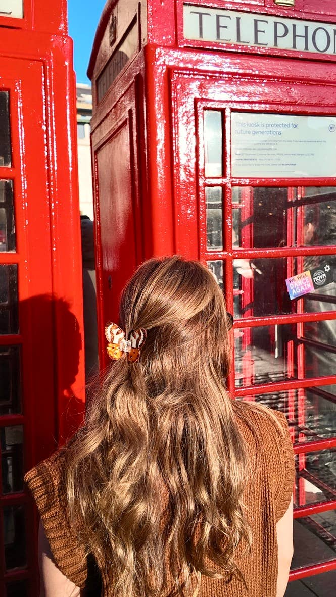 Tiger Moth Claw Clip