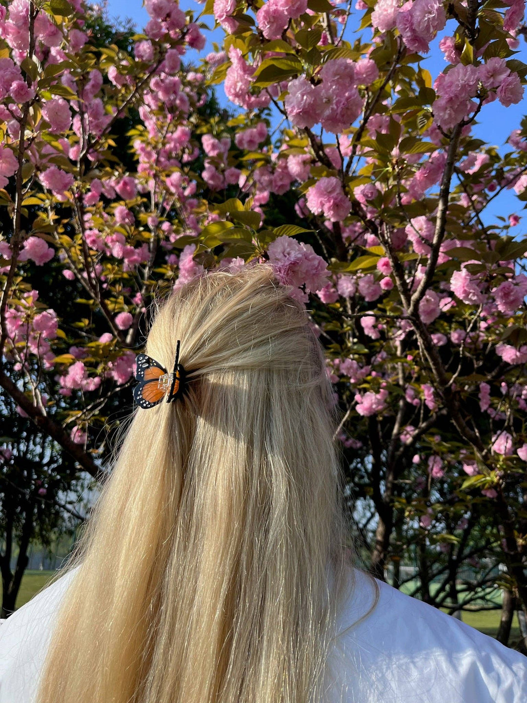 Mini Monarch Butterfly Hair Clip, 5 Colors