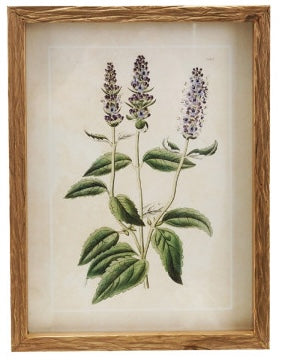 Wood Framed Vintage Florals, 4 Styles