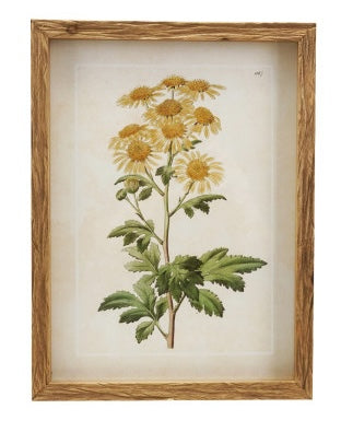 Wood Framed Vintage Florals, 4 Styles