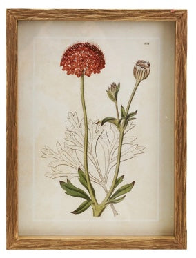 Wood Framed Vintage Florals, 4 Styles