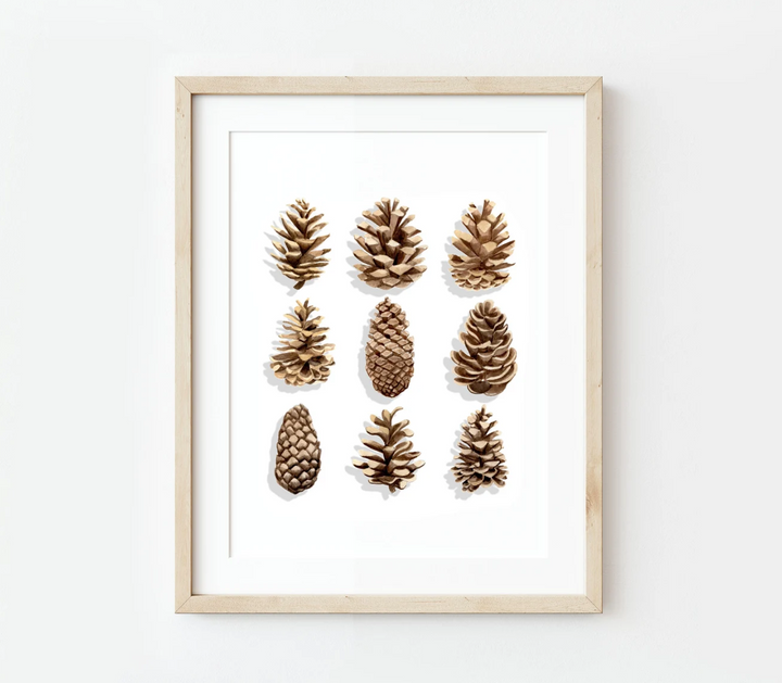 Pinecone Watercolor Print, local artist (3 Sizes)